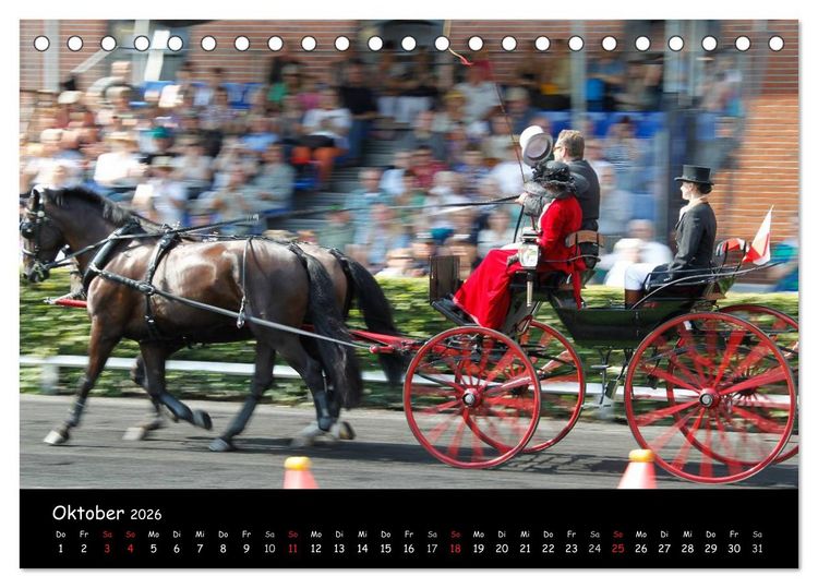 Produktbild: CIAT - Historischer Fahrsport in Celle (Tischkalender 2026 DIN A5 quer), CALVENDO Monatskalender