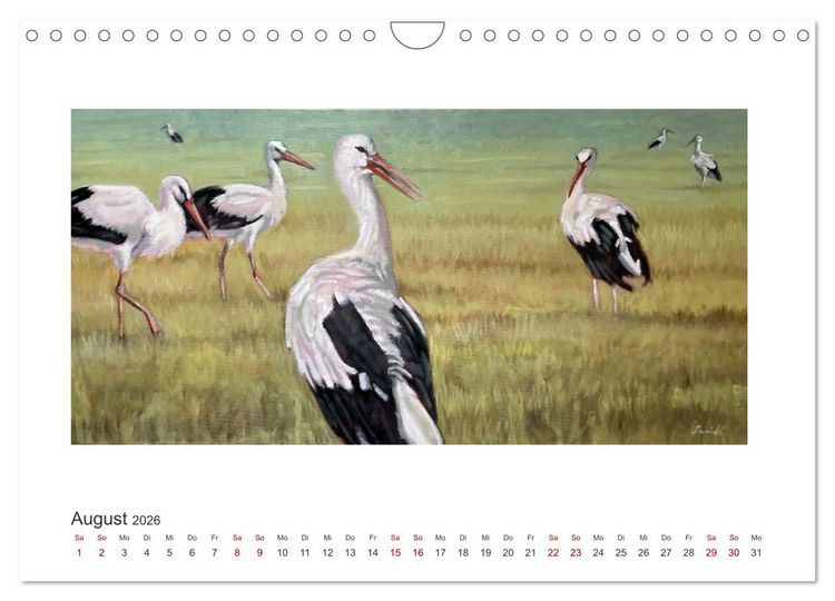 Produktbild: Auf leichten Schwingen - Zugv&ouml;gel (Wandkalender 2026 DIN A4 quer), CALVENDO Monatskalender
