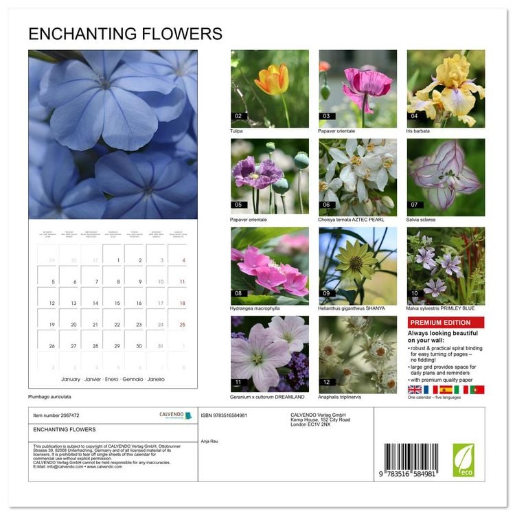 Produktbild: ENCHANTING FLOWERS (Wall Calendar 2026 12 &times; 12 Inch) CALVENDO 12 Month Wall Calendar
