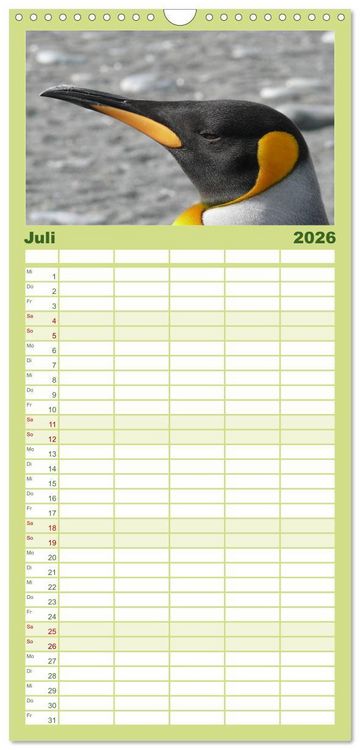 Produktbild: Familienplaner 2026 - Pinguine - Watscheln im festlichen Kleid mit 5 Spalten (Wandkalender, 21 x 45 cm) CALVENDO