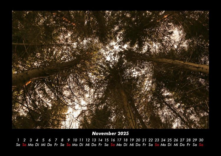 Produktbild: Bilder der Natur 2025 Fotokalender DIN A3