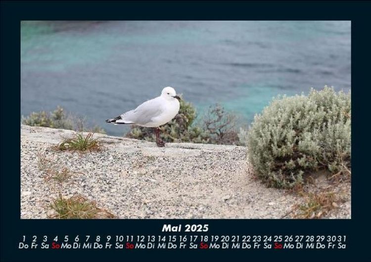Produktbild: Die Seen der Erde 2025 Fotokalender DIN A5