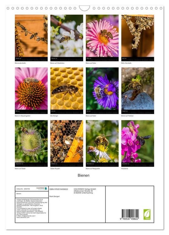 Produktbild: Bienen (Wandkalender 2026 DIN A3 hoch), CALVENDO Monatskalender