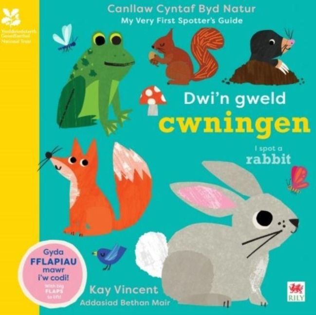 Produktbild: Dwi'n Gweld Cwningen / I Spot a Rabbit