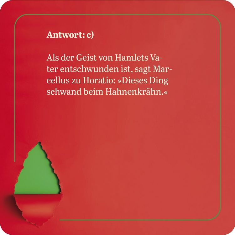 Produktbild: Das Weihnachts-Quiz