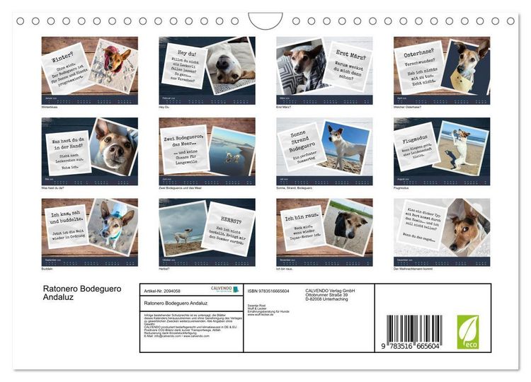 Produktbild: Ratonero Bodeguero Andaluz (Wandkalender 2026 DIN A4 quer), CALVENDO Monatskalender