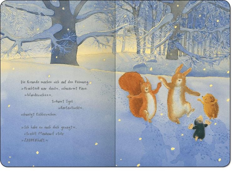 Produktbild: Was glitzert da im Schnee?