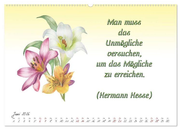 Produktbild: 12 unterhaltsame Zitate f&uuml;r ein sch&ouml;nes Jahr (hochwertiger Premium Wandkalender 2026 DIN A2 quer), Kunstdruck in Hochglanz