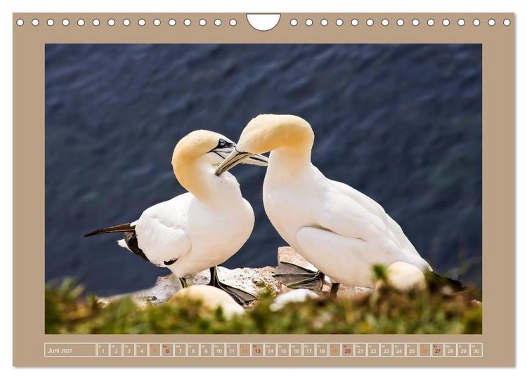 Produktbild: Helgoland,Deutschlands rote Felsen (Wandkalender 2027 DIN A4 quer), CALVENDO Monatskalender