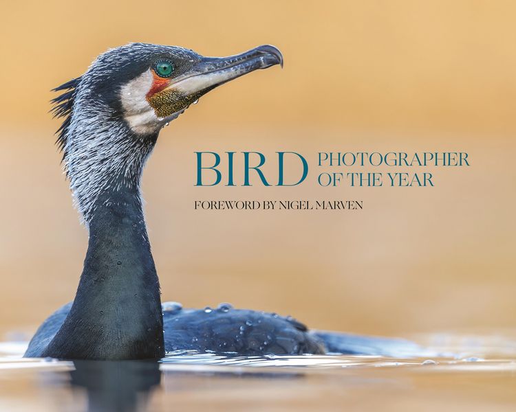 Produktbild: Bird Photographer of the Year