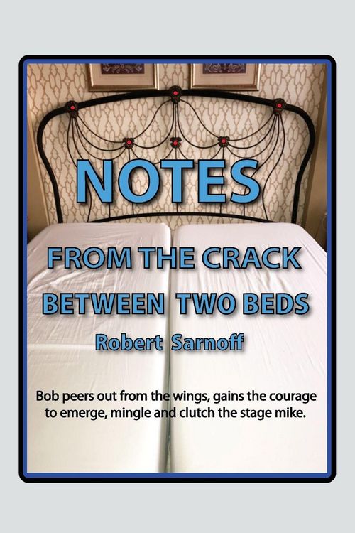 Produktbild: Notes from The Crack Between Two Beds