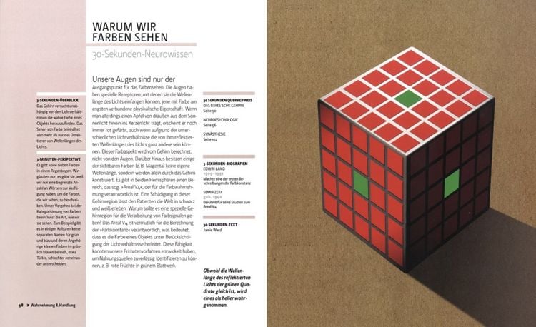 Produktbild: Das Gehirn in 30 Sekunden