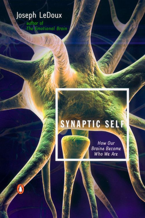 Produktbild: Synaptic Self