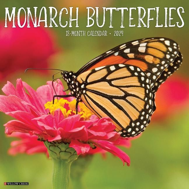 Produktbild: Willow Creek Press: Monarch Butterflies 2024 12 X 12 Wall Ca