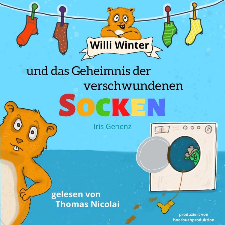 Produktbild: Willi Winter und das Geheimnis der verschwundenen Socken
