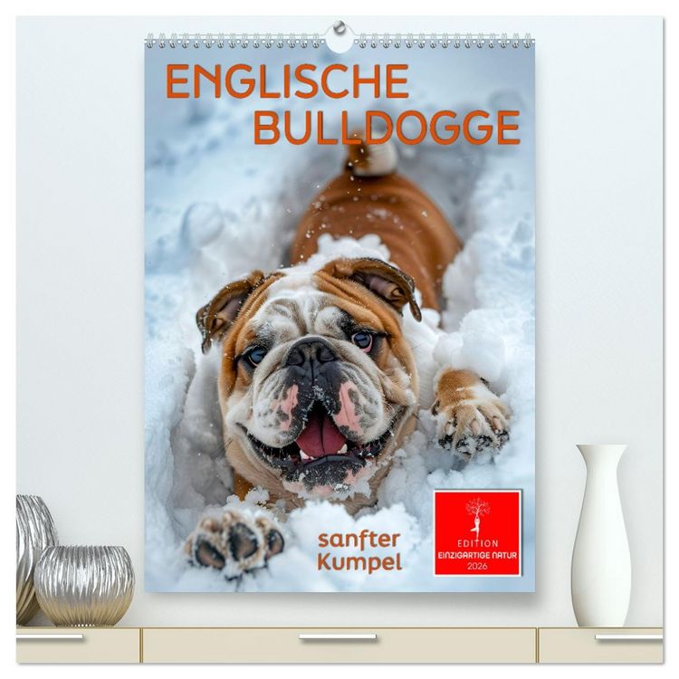 Produktbild: Englische Bulldogge - sanfter Kumpel (hochwertiger Premium Wandkalender 2026 DIN A2 hoch), Kunstdruck in Hochglanz