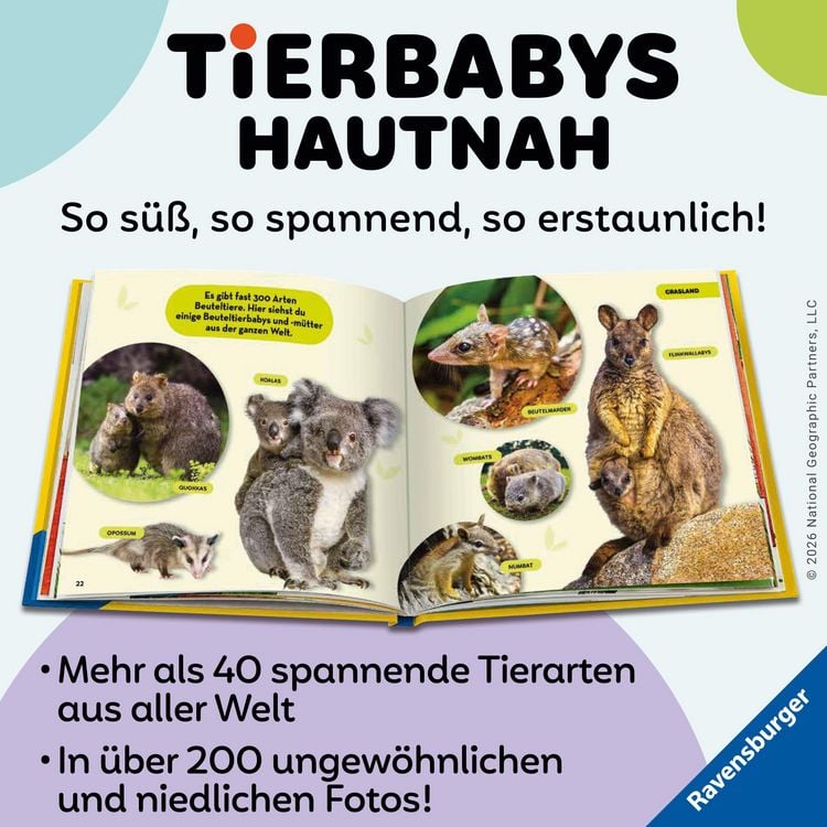 Produktbild: National Geographic Kids - Die tollsten Tierbabys aus aller Welt