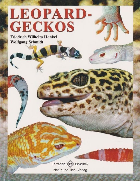 Produktbild: Leopardgeckos