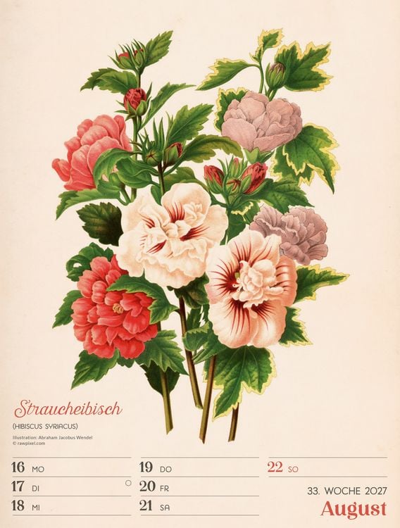 Produktbild: Ars Floralis Wochenplaner Kalender 2027