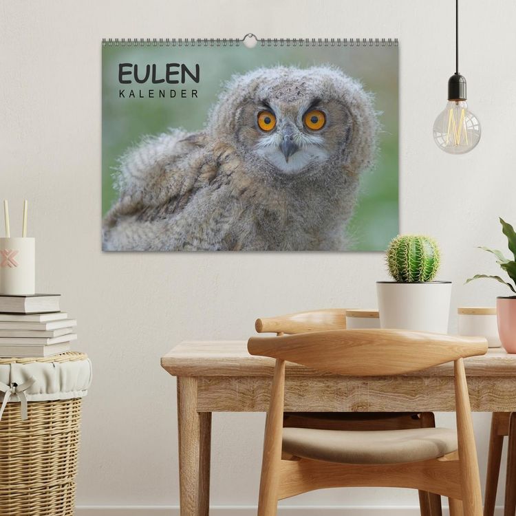 Produktbild: Eulen-Kalender (Wandkalender 2026 DIN A3 quer), CALVENDO Monatskalender