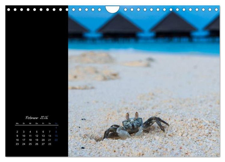 Produktbild: Malediven - dem Himmel so nah (Wandkalender 2026 DIN A4 quer), CALVENDO Monatskalender