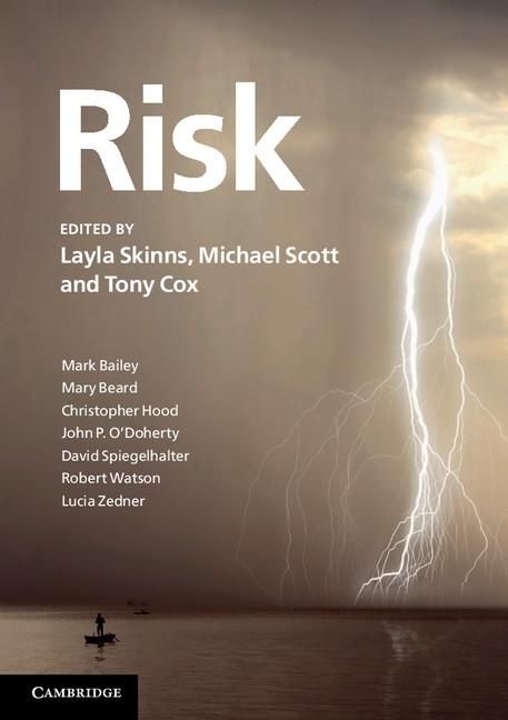 Produktbild: Risk