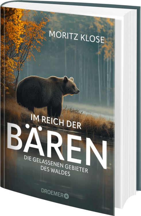 Produktbild: Im Reich der B&auml;ren