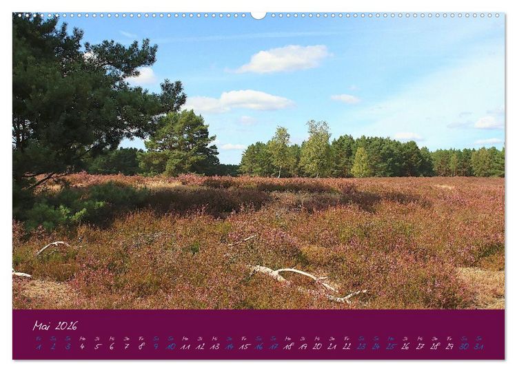 Produktbild: Die Nemitzer Heide - Im Wendland unterwegs (Wandkalender 2026 DIN A2 quer), CALVENDO Monatskalender