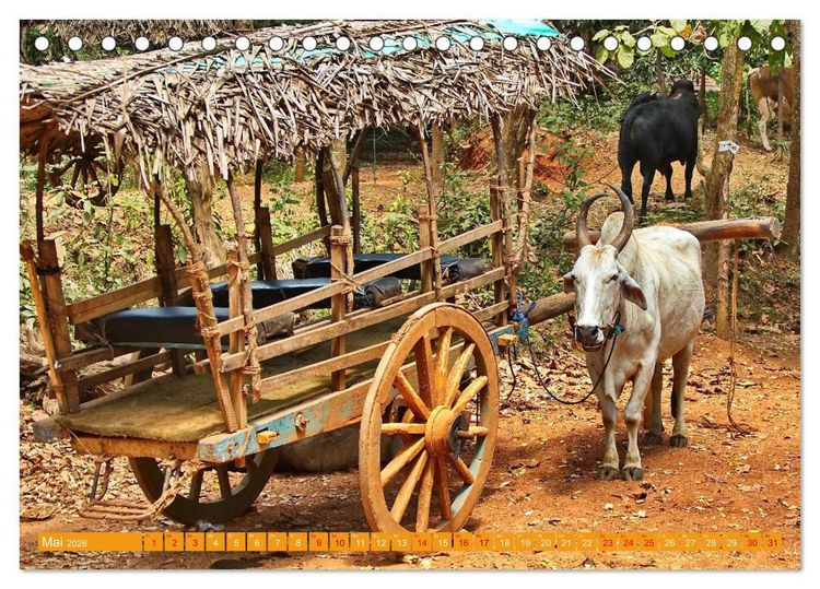 Produktbild: Sri Lanka, Gr&uuml;ne Berge - unber&uuml;hrte Natur (Tischkalender 2026 DIN A5 quer), CALVENDO Monatskalender