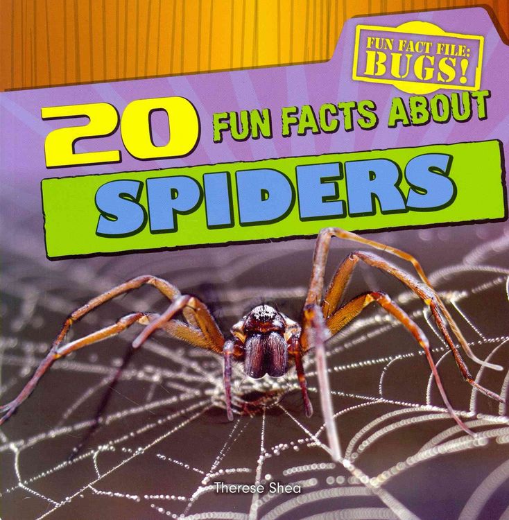 Produktbild: 20 Fun Facts Abt Spiders