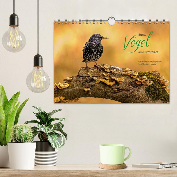 Produktbild: Bunte V&ouml;gel am Futterplatz (Wandkalender 2026 DIN A4 quer), CALVENDO Monatskalender