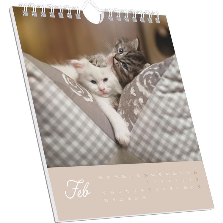 Produktbild: Kleine Samtpfötchen 2026 - Postkartenkalender 16x17 cm - Katzen - zum Aufstellen oder Aufhängen - Monatskalendarium - Gadget - Mitbringsel - Alpha Edi