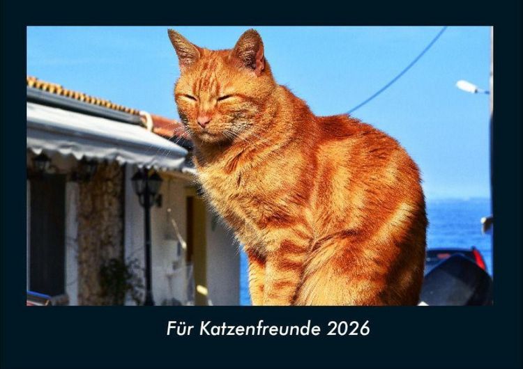 Produktbild: F&uuml;r Katzenfreunde 2026 Fotokalender DIN A4
