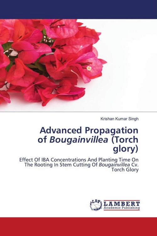 Produktbild: Advanced Propagation of Bougainvillea (Torch glory)