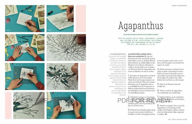Produktbild: Papercut