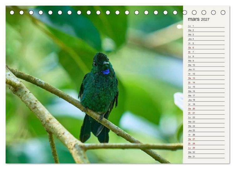 Produktbild: Colibris &ndash; &eacute;clats de nature (Calendrier de bureau 2027 DIN A5 vertical), CALVENDO calendrier mensuel