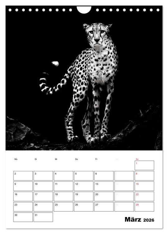 Produktbild: Charakterk&ouml;pfe aus der Welt der Tiere (Wandkalender 2026 DIN A4 hoch), CALVENDO Monatskalender