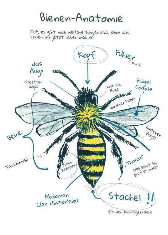 Produktbild: OMG Bees!