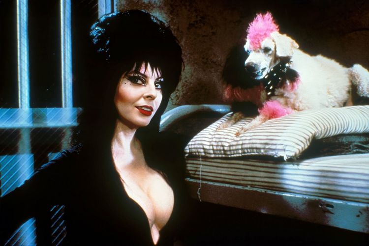Produktbild: Elvira - Herrscherin der Dunkelheit (inkl. Elvira's Haunted Hills) [2 BRs]