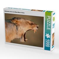 Produktbild: CALVENDO Puzzle G&auml;hnende L&ouml;win in der Masai Mara in Kenia. 1000 Teile Lege-Gr&ouml;&szlig;e 64 x 48 cm Foto-Puzzle Bild von Ingo Gerlach