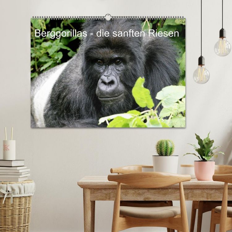 Produktbild: Berggorillas - die sanften Riesen (Wandkalender 2026 DIN A2 quer), CALVENDO Monatskalender