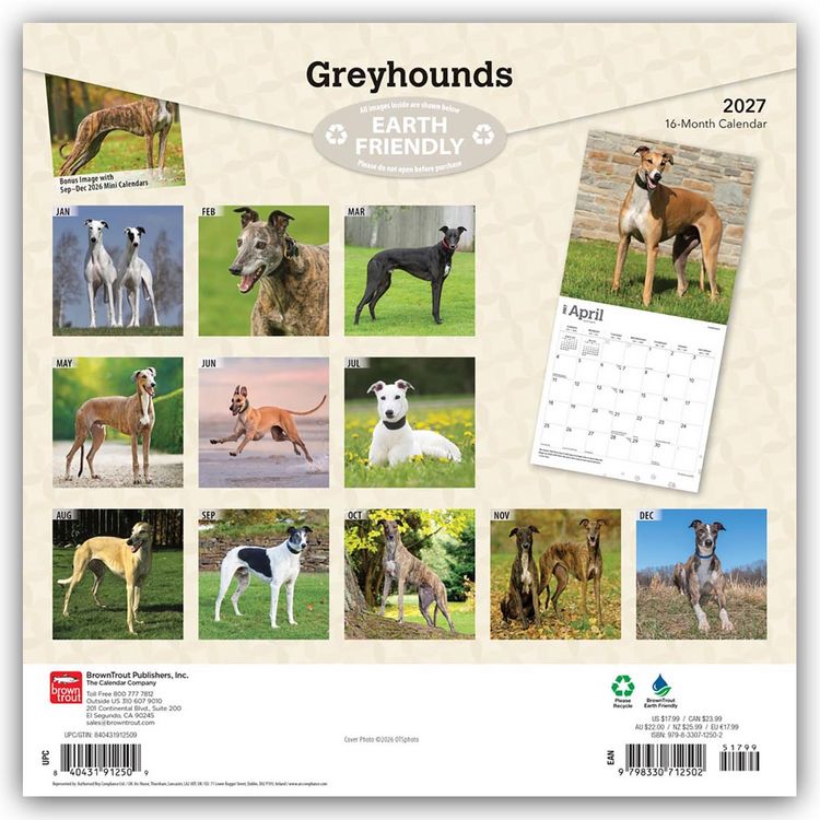 Produktbild: Greyhounds &ndash; Windhunde 2027 &ndash; 16-Monatskalender