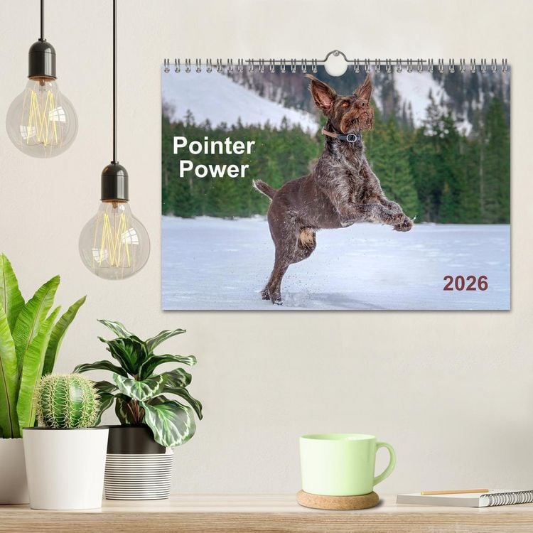 Produktbild: Pointer Power (Wall Calendar 2026 DIN A4 landscape), CALVENDO 12 Month Wall Calendar