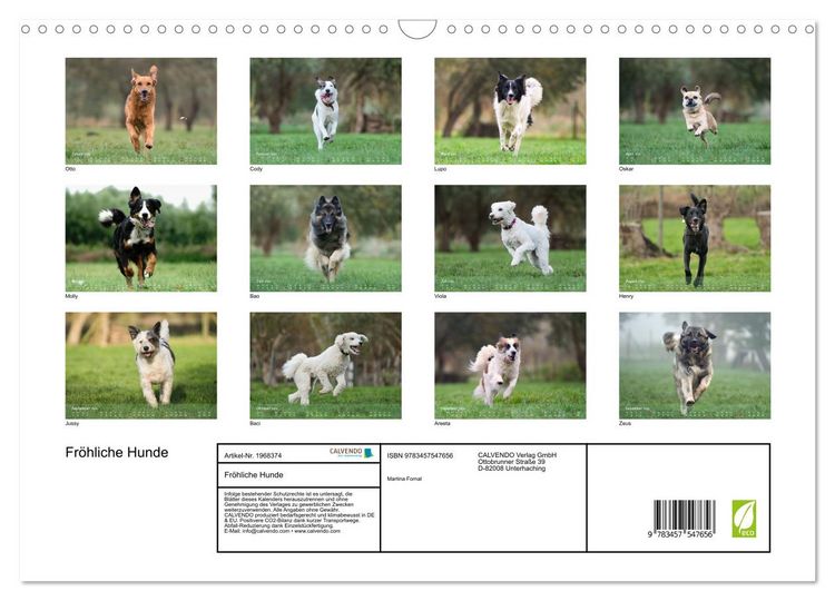 Produktbild: Fr&ouml;hliche Hunde (Wandkalender 2026 DIN A3 quer), CALVENDO Monatskalender