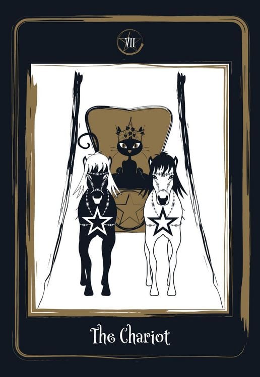 Produktbild: Golden Black Cat Tarot - High quality slip lid box with gold foil