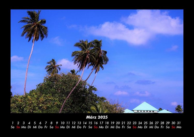 Produktbild: Palmentraum 2025 Fotokalender DIN A3