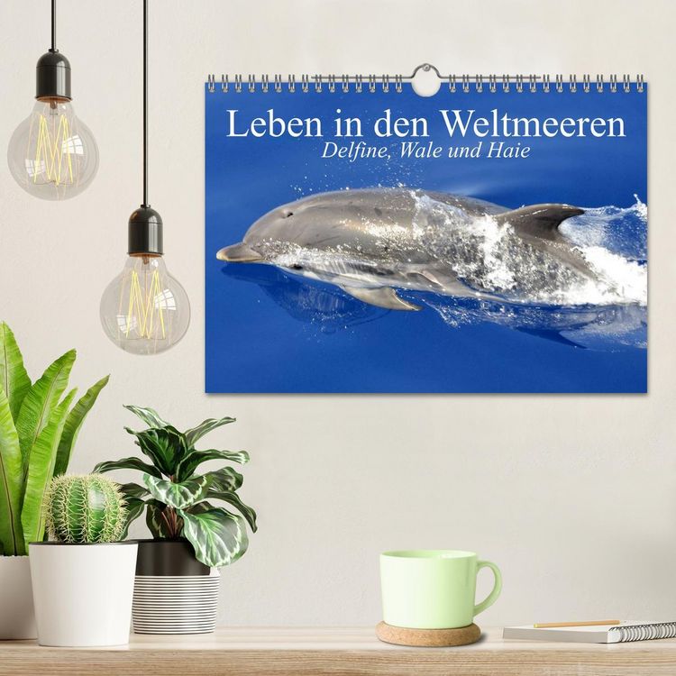 Produktbild: Leben in den Weltmeeren. Delfine, Wale und Haie (Wandkalender 2026 DIN A4 quer), CALVENDO Monatskalender