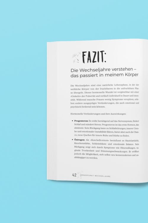 Produktbild: Wendepunkt Wechseljahre: Dein neues Leben beginnt jetzt!