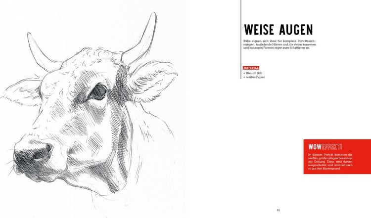 Produktbild: Tiere zeichnen &ndash; Das XXL-Starter-Set: Zwei B&uuml;cher im Bundle