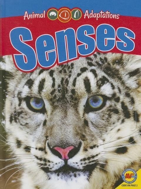 Produktbild: Senses